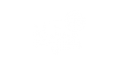 Ace Escape Game